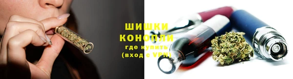шишки Алексеевка