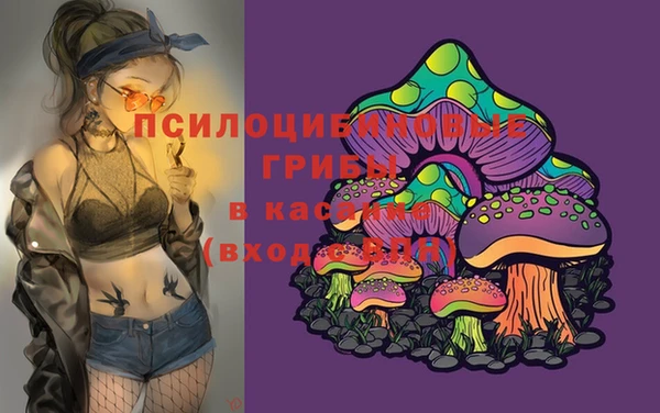 таблы Алексин