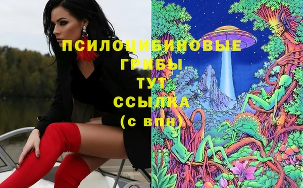 не бодяженный Алзамай