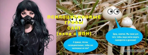 не бодяженный Алзамай