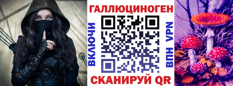Псилоцибиновые грибы GOLDEN TEACHER  Петрозаводск 