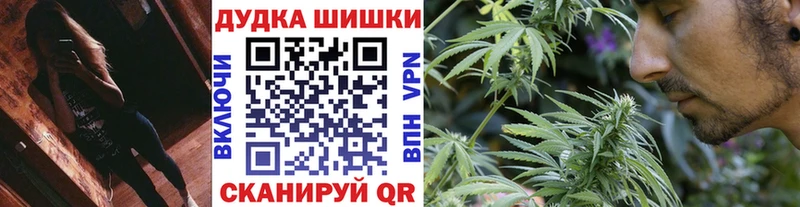 Шишки марихуана ГИДРОПОН  где можно купить наркотик  Петрозаводск 